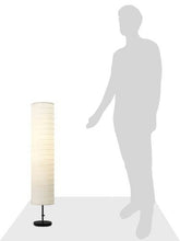 IKEA 301.841.73 HOLMO 46-INCH FLOOR LAMP