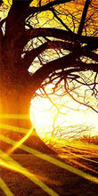 BPAGO Landscape Big Tree in Sunset Canvas Paintings Framed Modern Abstract Paintings Giclee Canvas Paintings Home Decorations Wall Art(12"x24"x2pcs+24"x24"x1pc)