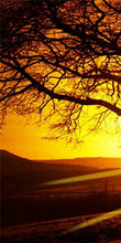 BPAGO Landscape Big Tree in Sunset Canvas Paintings Framed Modern Abstract Paintings Giclee Canvas Paintings Home Decorations Wall Art(12"x24"x2pcs+24"x24"x1pc)